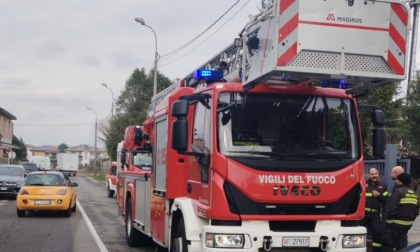 Pusher con machete messo in fuga nel bosco - Il Saronno