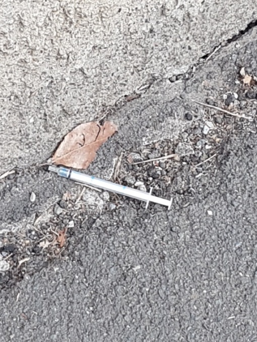 Siringa sulla pista ciclabile vicino al “bosco della droga”