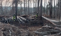 Incendio nel Parco Pineta a Tradate, Vigili del fuoco al lavoro