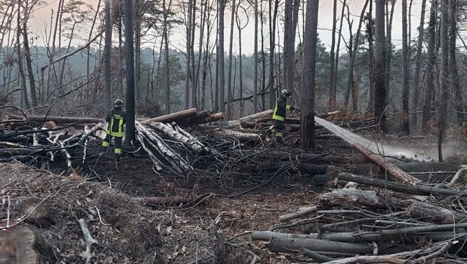 Incendio nel Parco Pineta a Tradate, Vigili del fuoco al lavoro