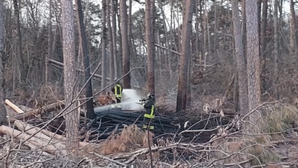 Vigili del fuoco nel parco Pineta