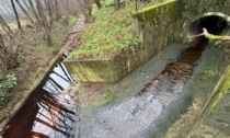 Un fiume d'olio nel Fontanile: "Indagini in corso"