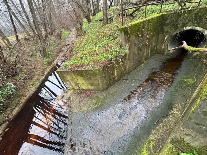 Un fiume d’olio nel Fontanile: “Indagini in corso”
