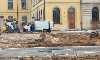 Abbattuti i due pini di piazza Mazzini