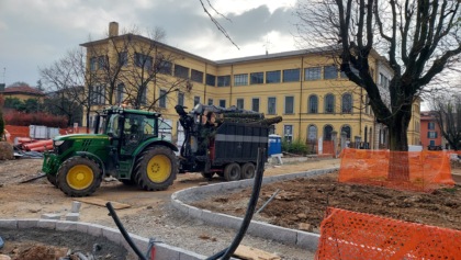 piazza mazzini alberi tagliati