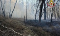 A fuoco il sottobosco al parco delle Groane: intervengono i Vigili del Fuoco