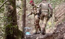 Controlli nei boschi: arrestata una nuova leva dello spaccio