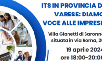 Its in provincia di Varese: diamo voce alle imprese
