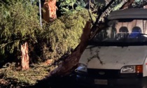 Gerenzano, torna l'incubo maltempo: albero schiaccia un'auto