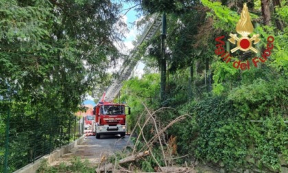 Cade dal cestello mentre taglia delle piante: grave 47enne