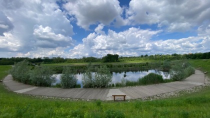 Uccelli migratori e nidificanti