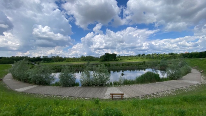 Semi secolari, germogli di futuro al Parco Lura