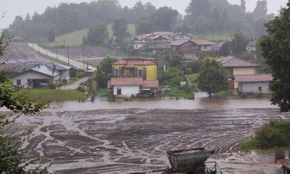 Campi alluvionati in provincia di Varese: l'allarme di Coldiretti