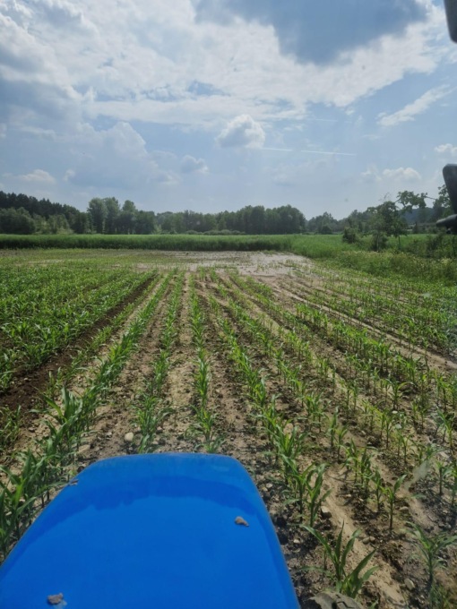 Maltempo, agricoltura ancora sotto scacco nel Varesotto