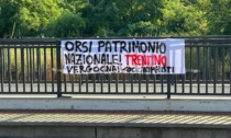 Protesta degli animalisti contro le politiche del Trentino sugli orsi