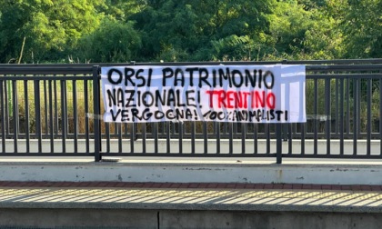 Protesta degli animalisti contro le politiche del Trentino sugli orsi