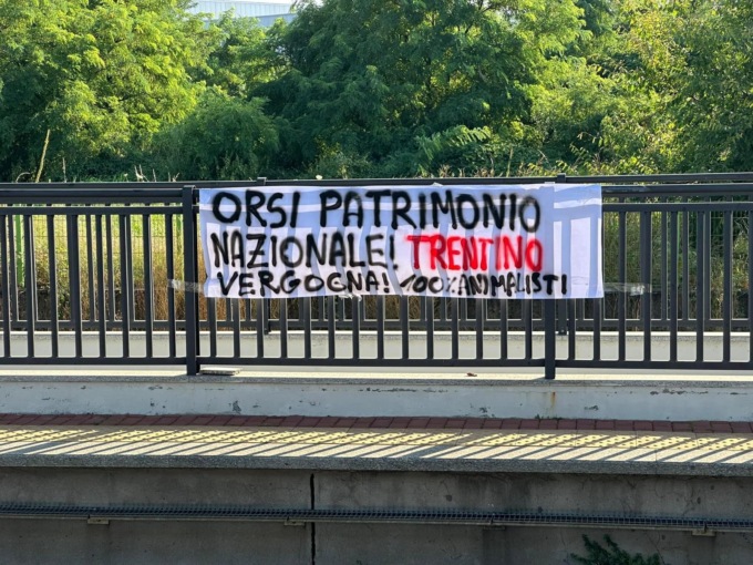 Protesta degli animalisti contro le politiche del Trentino sugli orsi