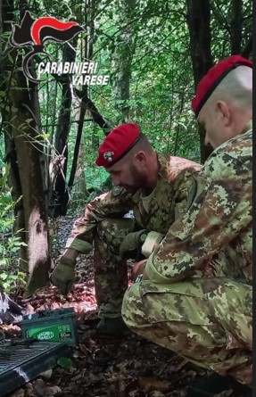Smantellato un bivacco nei boschi dello spaccio tra Laveno e Cittiglio, due arresti