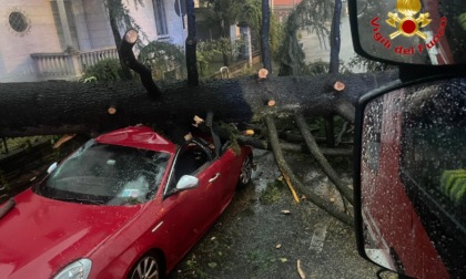 Maltempo, Vigili del fuoco in azione per alberi crollati, auto distrutte e strade allagate