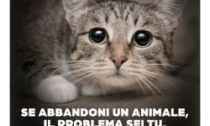 Campagna Enpa contro l'abbandono di animali