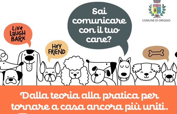 Sai comunicare con il tuo cane, ecco una giornata di formazione