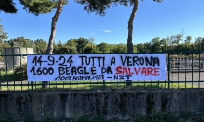 Uno striscione contro la sperimentazione su 1600 cuccioli di beagle