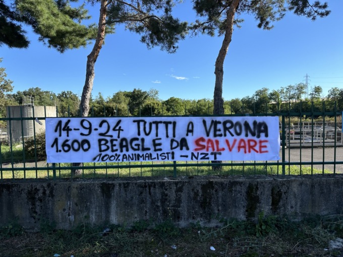 Uno striscione contro la sperimentazione su 1600 cuccioli di beagle
