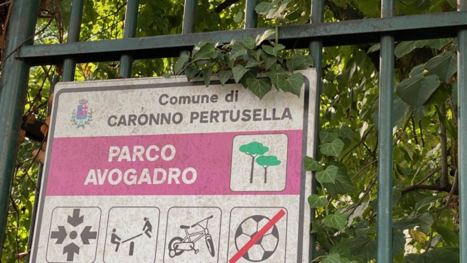 Sagra del gorgonzola con la Proloco