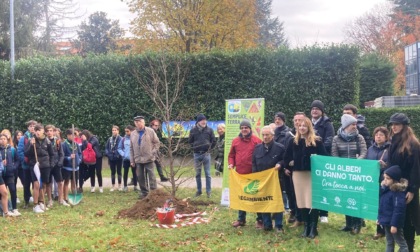 Al parco del quartiere Aquilone hanno trovato dimora cinque nuovi alberi