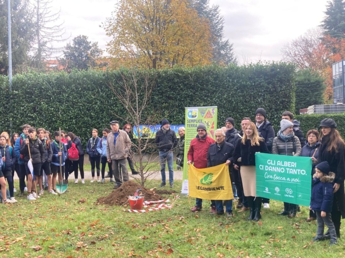 Al parco del quartiere Aquilone hanno trovato dimora cinque nuovi alberi