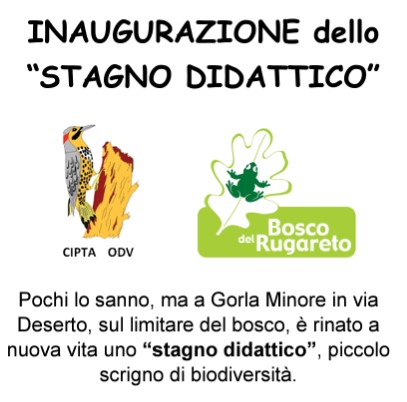 E’ rinato lo stagno didattico di Cipta, ecco l’inaugurazione
