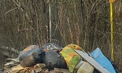 Bosco del Rugareto, nuova discarica a cielo aperto