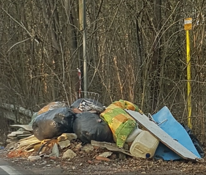 Bosco del Rugareto, nuova discarica a cielo aperto