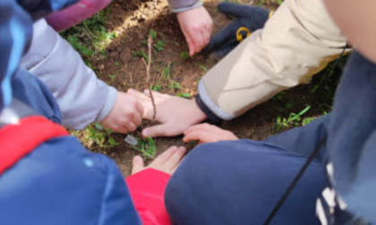 I bambini di Ceriano hanno piantato nuovi alberi in Piazza Diaz