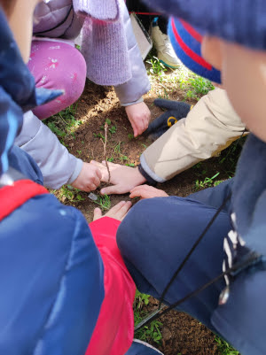 I bambini di Ceriano hanno piantato nuovi alberi in Piazza Diaz