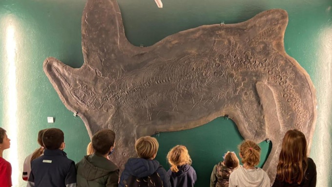 Eventi per grandi e piccini al Museo dei fossili durante il periodo natalizio