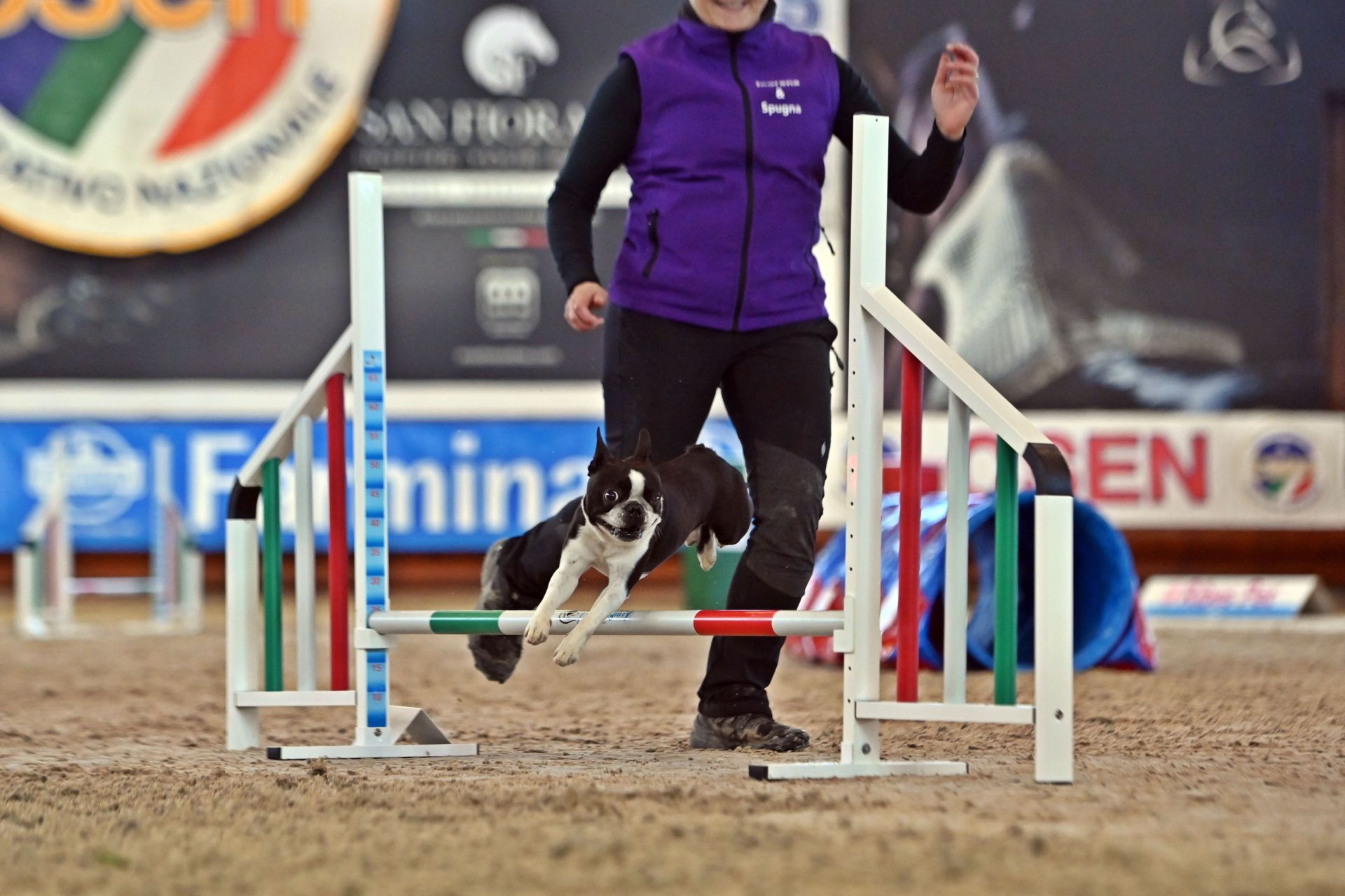 Morena Lunardon saronno agility dogS Ostacolo