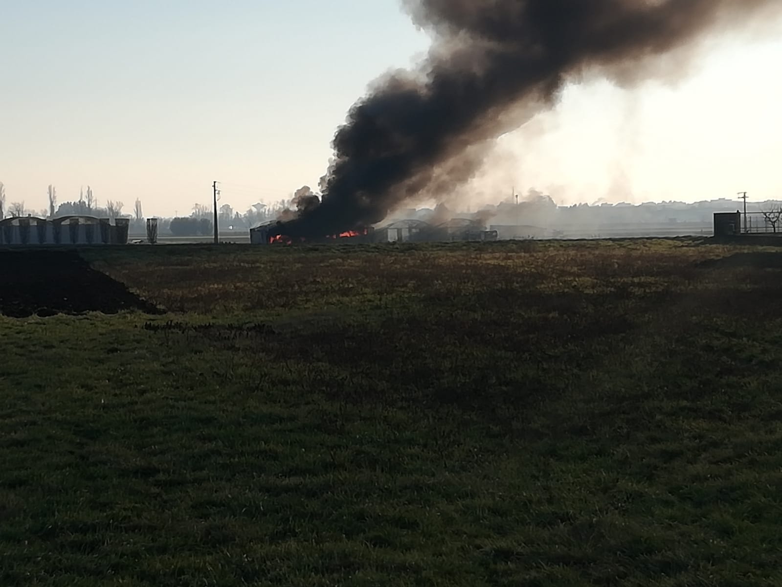 Incendio campo volo Cogliate