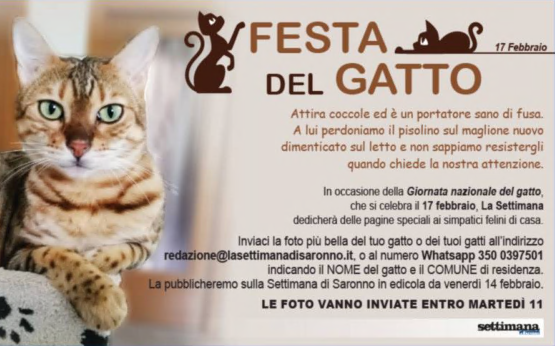 Festeggia il tuo micio con La Settimana