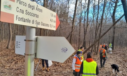 Camminate Crepuscolari nel Parco Dei Mughetti