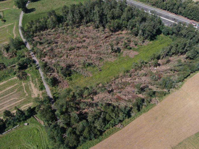 Parco dei Mughetti, ecco il bando regionale per il ripristino dei boschi danneggiati