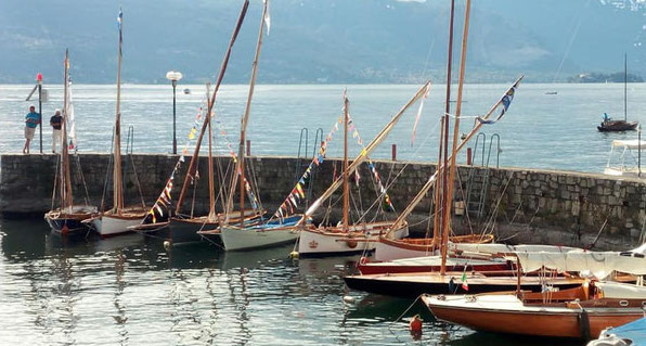 Presentazione progetto Fondazione Officine dell'acqua a Laveno Mombello 5