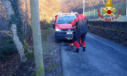 Motociclista cade dal ponte: tragedia a Montegrino Valtravaglia