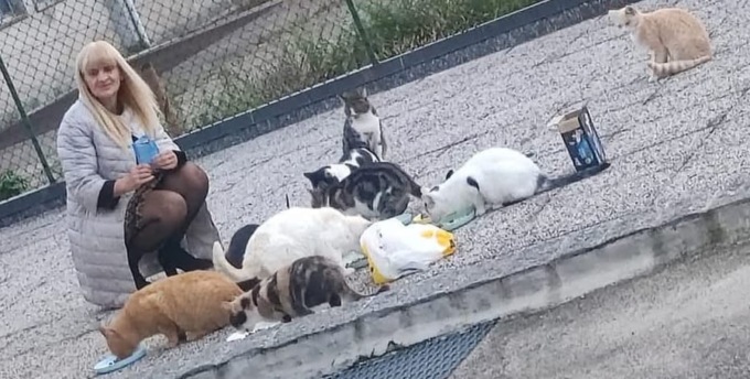 Giornata del gatto, l’appello di Daniela Ferrari