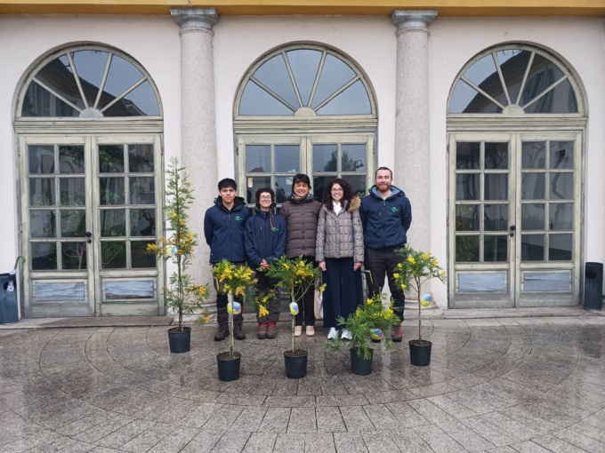 Tre mimose per tre luoghi simbolici