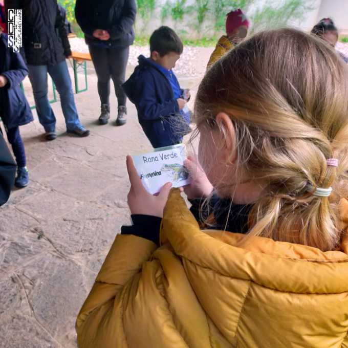 “A lezione” nelle Aree Umide del Parco Pineta con LIFE Insubricus