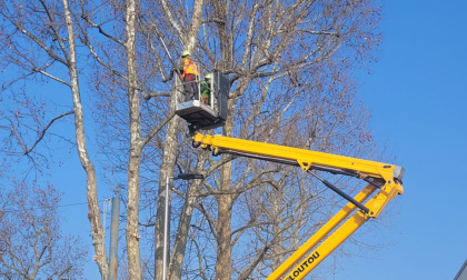 Manutenzione straordinaria per il verde pubblico di Castellanza