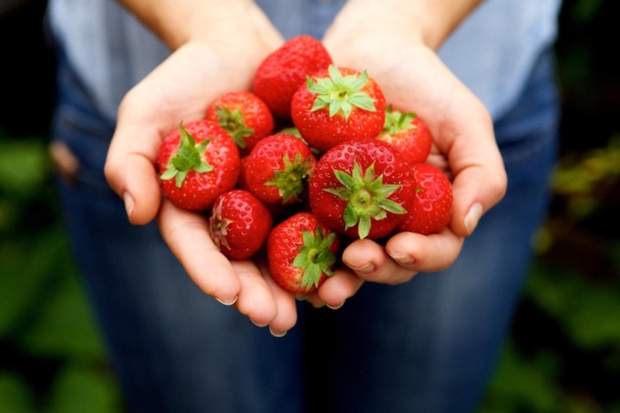 Frutteti domestici? Fragole e lampone possono dare grandi soddisfazioni