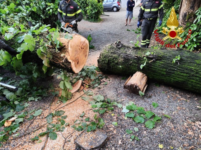 Maltempo: i Vigili del fuoco al lavoro da questa notte