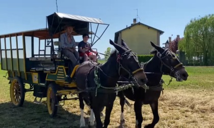 Annullata la Festa del fieno prevista per il 2 giugno